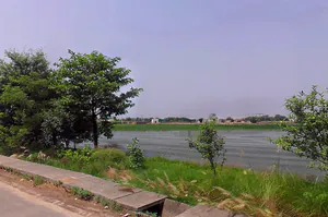 3M77+HVW, Bodhani, Loatani, Haryana 136129, India preview 3