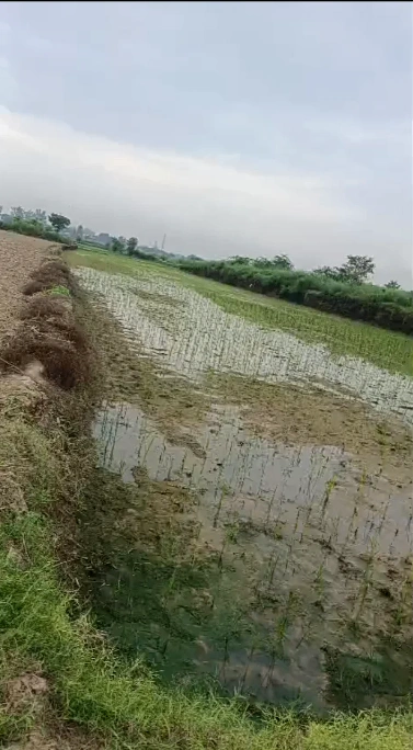 Khair, Aligarh, Uttar Pradesh 202138, India