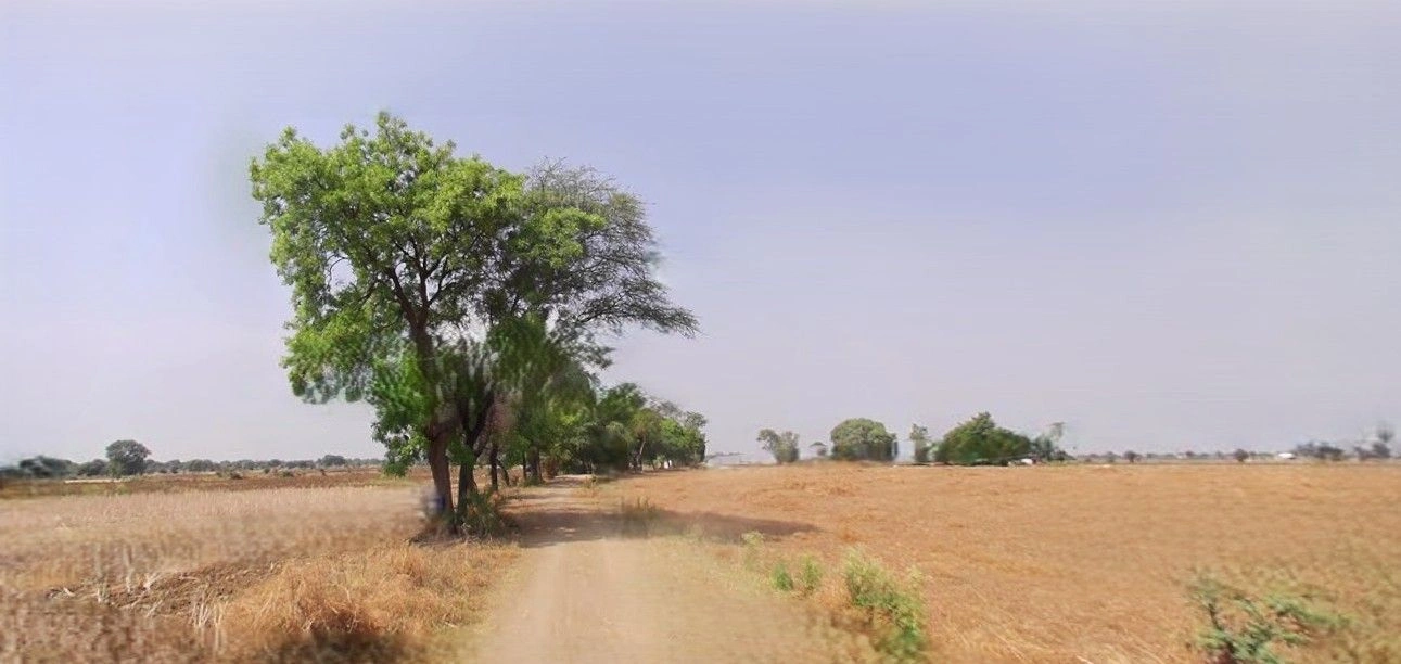 Thakurdwara, Uttar Pradesh 244601, India preview 3