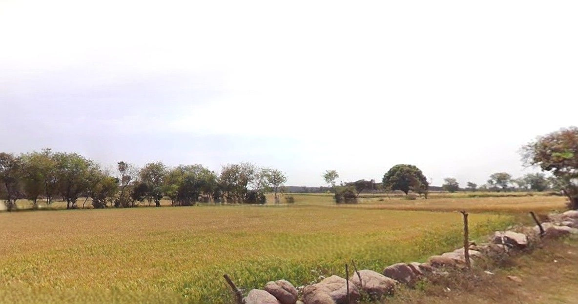 Hasanpur, Uttar Pradesh 244241, India