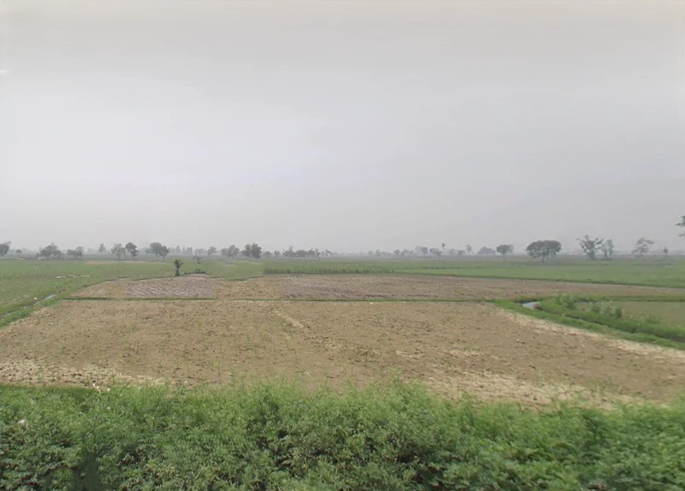 Bilari, Uttar Pradesh 244411, India