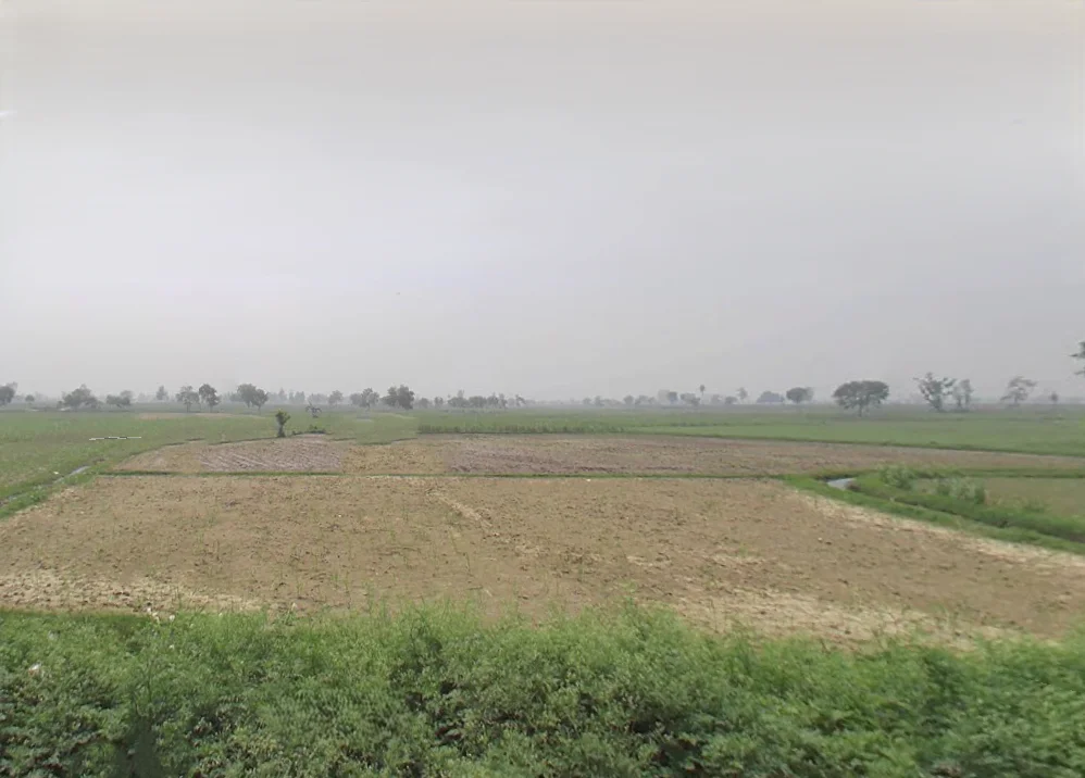Bilari, Uttar Pradesh 244411, India preview 2