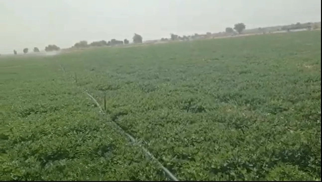 36VM+PQ Marriguda, Nalgonda, Telangana, India