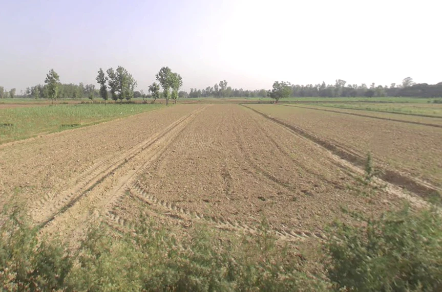 Bahadurgarh, Uttar Pradesh 245208, India