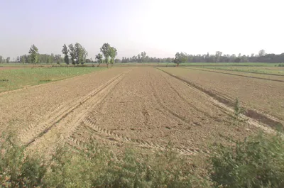 Bahadurgarh, Uttar Pradesh 245208, India preview 3