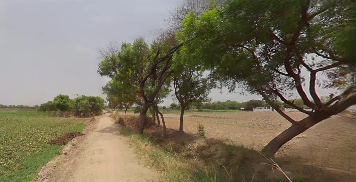 Sri Ganganagar, Rajasthan, India
