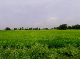 Sarsawa, Uttar Pradesh 247232, India preview 3