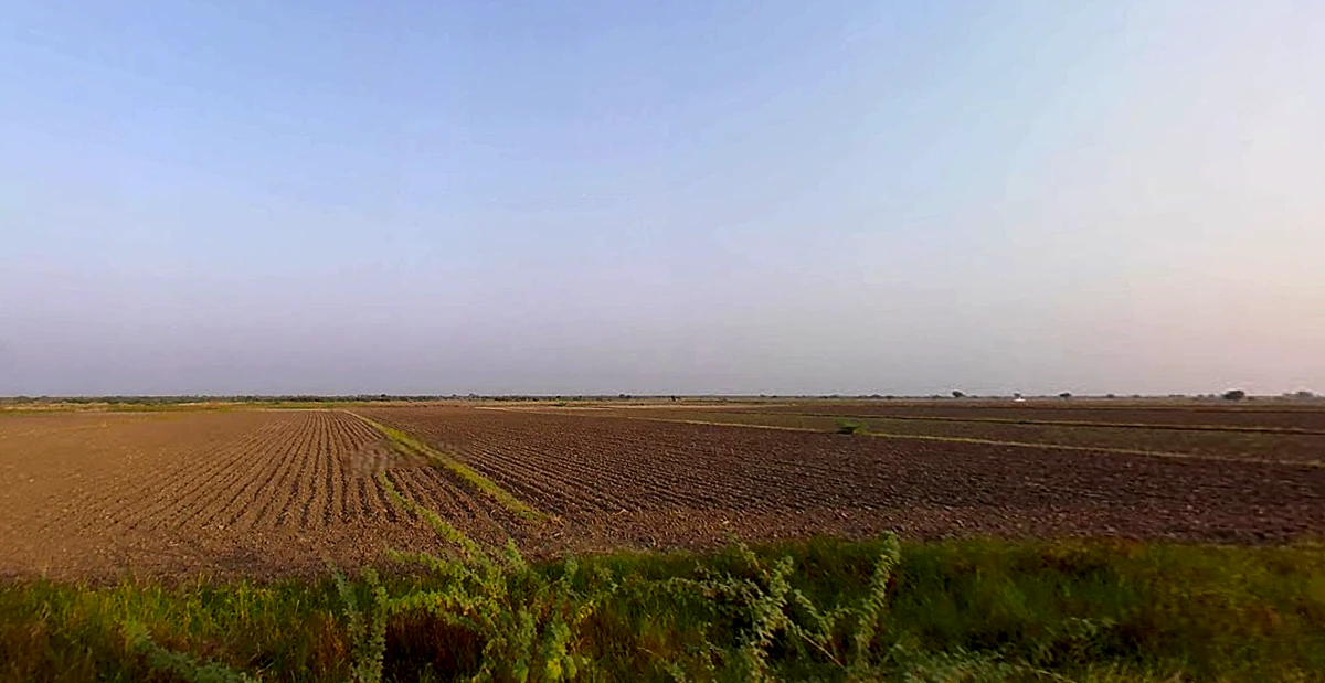 Ambliyara, Gujarat 383325, India