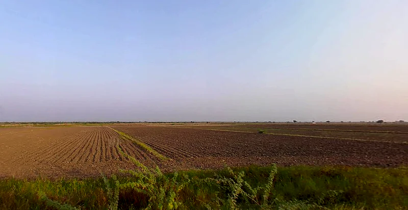 Ambliyara, Gujarat 383325, India preview 3