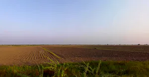 Ambliyara, Gujarat 383325, India preview 3