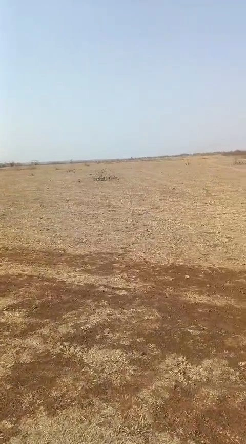 Nigoha, Uttar Pradesh 226302, India