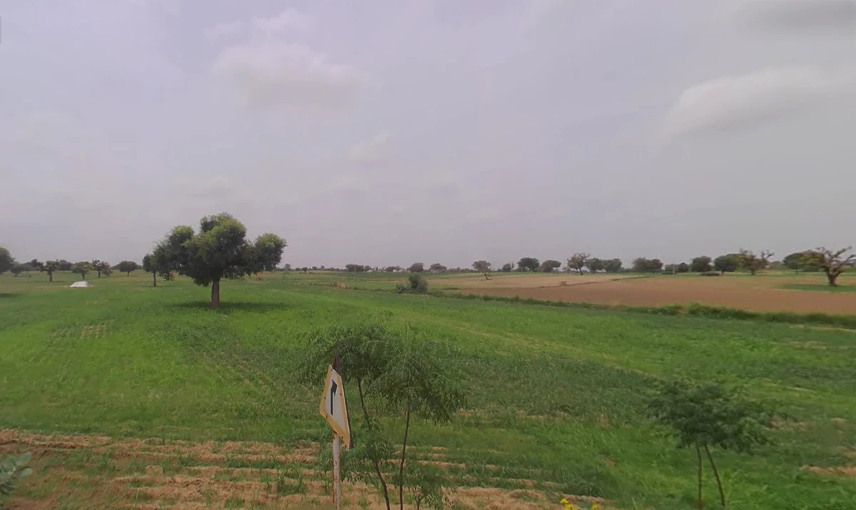 Charkhi Dadri, Haryana 127306, India