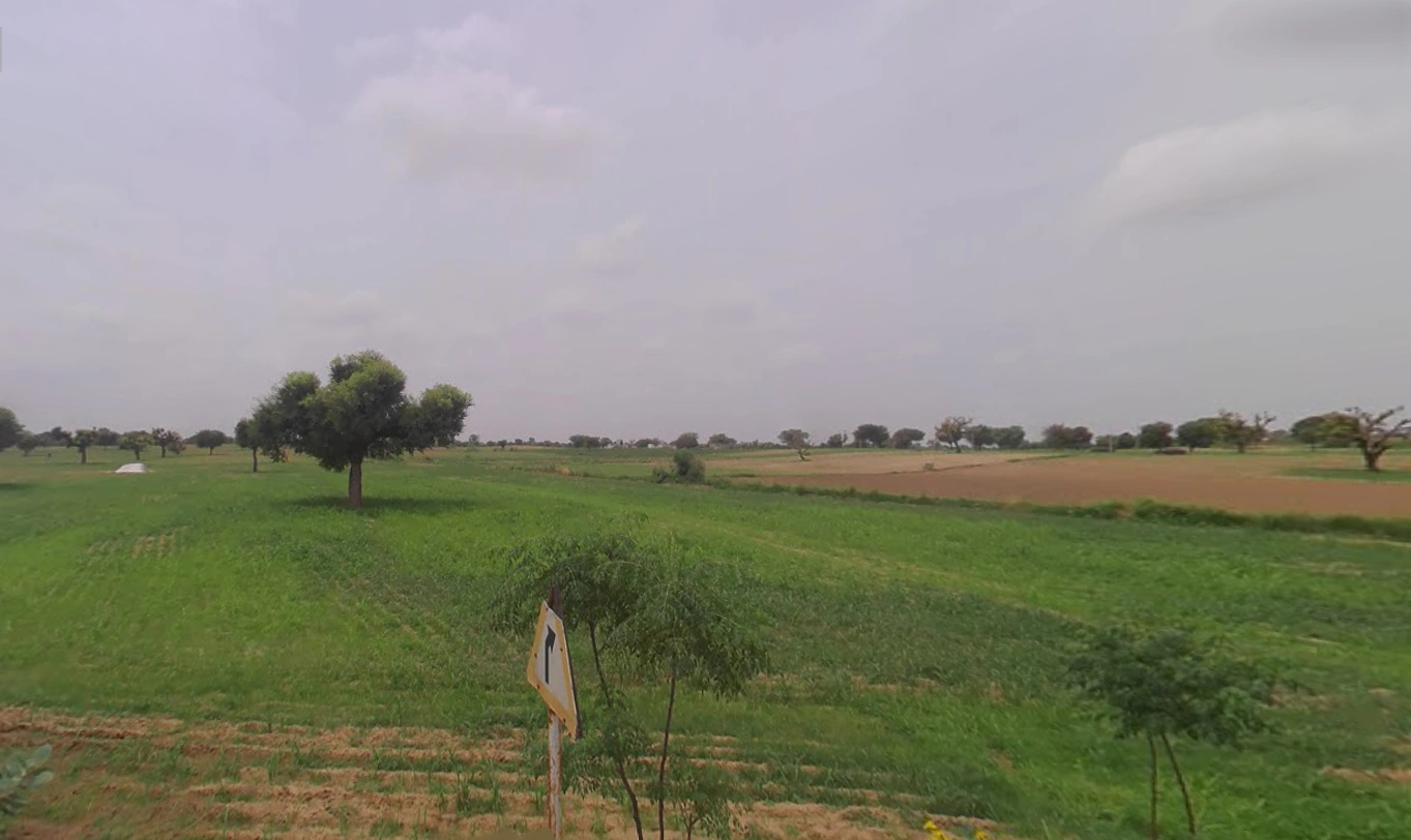 Charkhi Dadri, Haryana 127306, India
