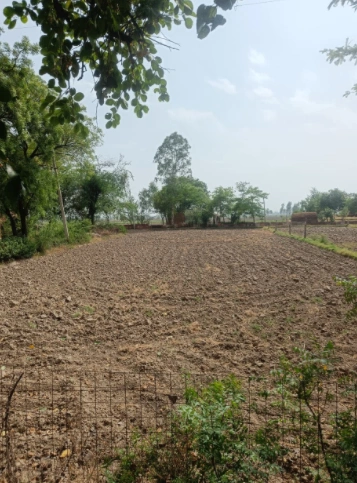 Behram, Punjab 144504, India