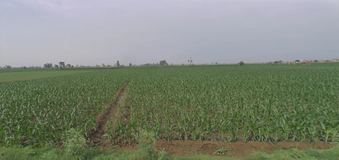 Khurja, Uttar Pradesh 203131, India