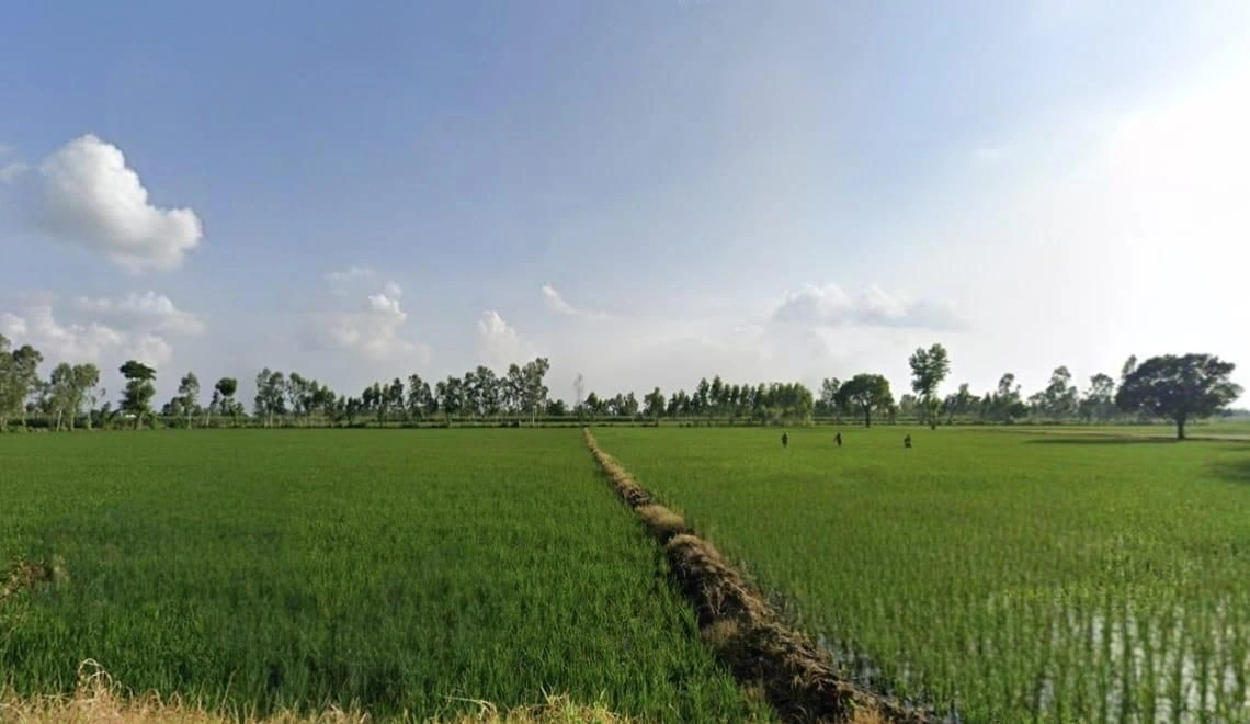 Orchha, Madhya Pradesh 472246, India preview 2