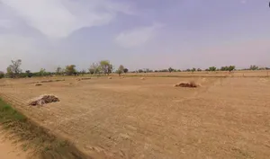Chandla, Madhya Pradesh 471525, India preview 3