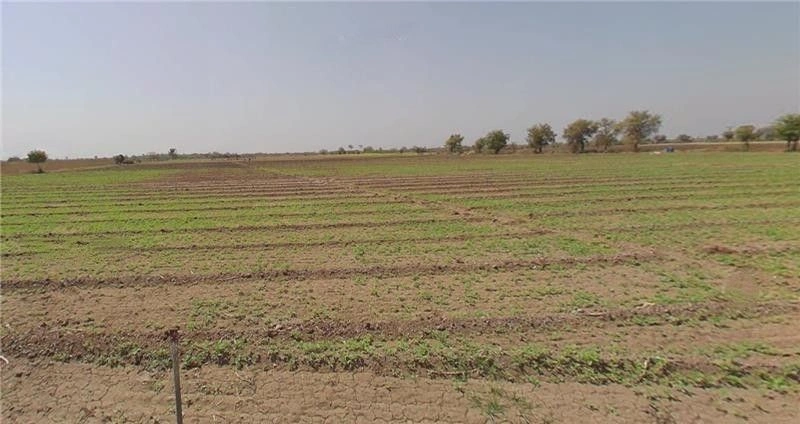 Derdi, Gujarat, India