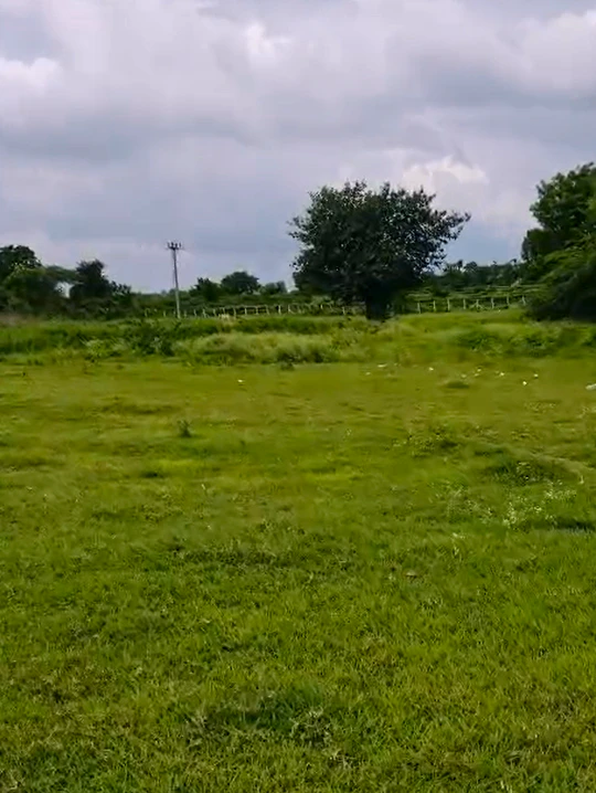 WHWJ+WJ, Warangal, Telangana 506005, India