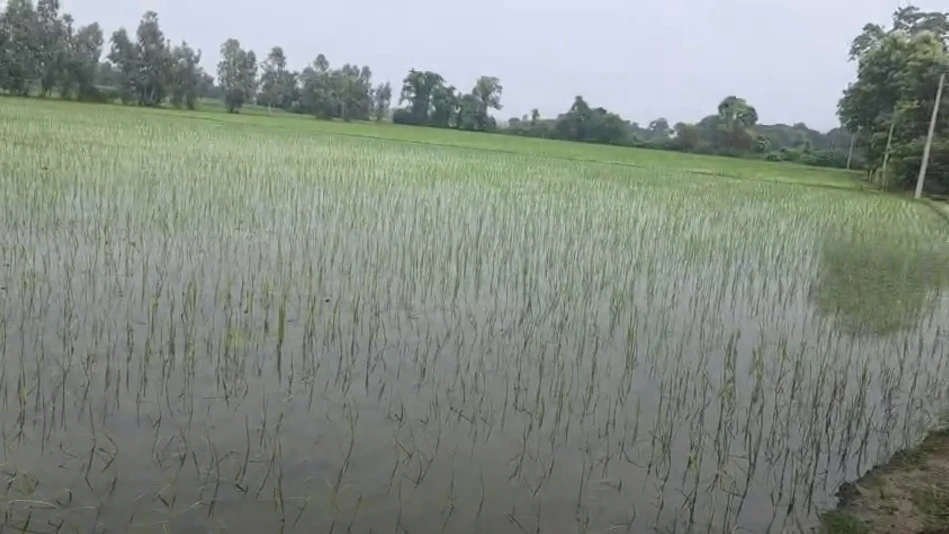 Gola Gokaran Nath, Kheri, Uttar Pradesh 262802, India