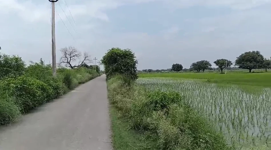Tamoriya, Uttar Pradesh, India