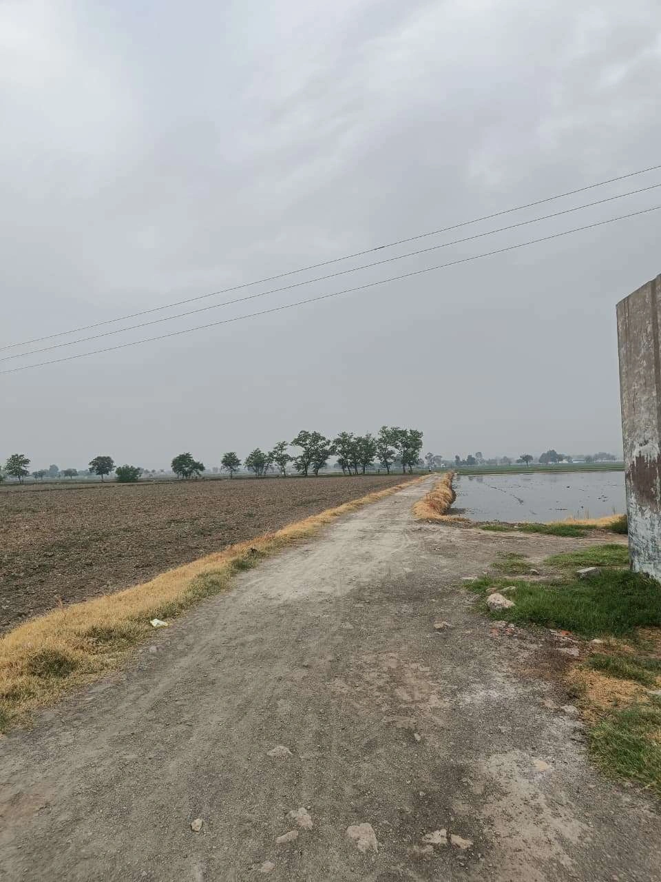 Adampur, Uttar Pradesh, India
