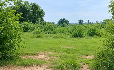 Chohat, Patiala, Punjab 147101, India preview 3
