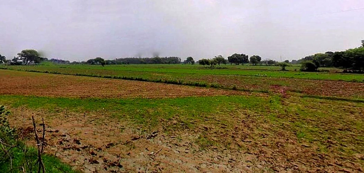 Barsana, Uttar Pradesh 281405, India