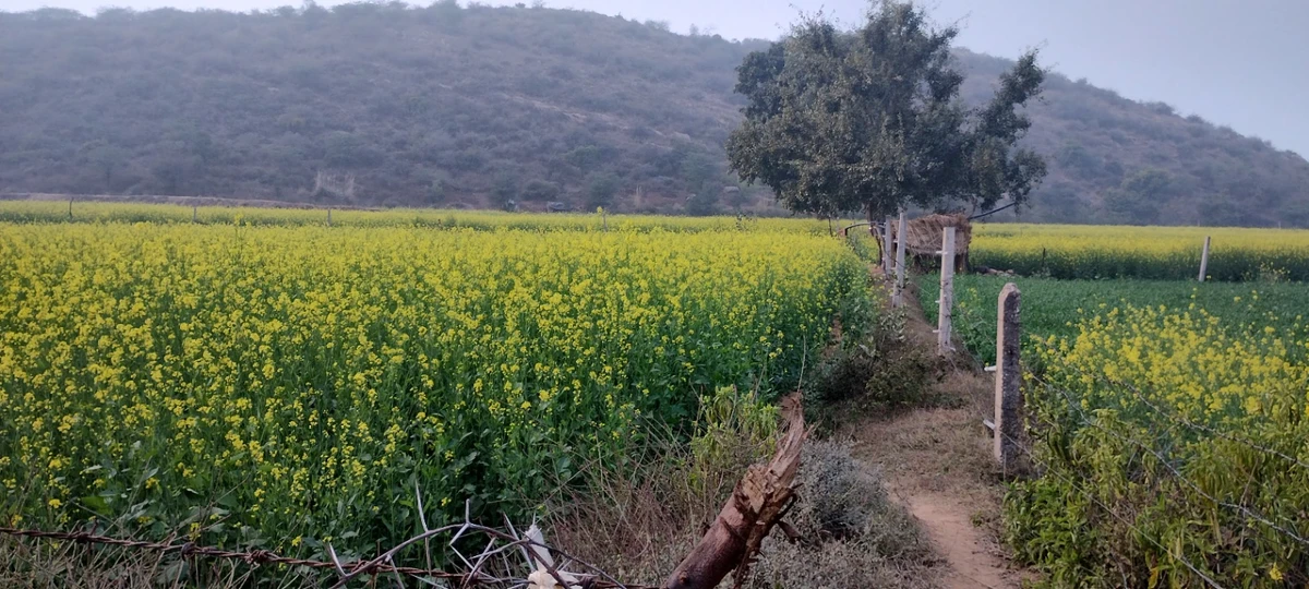 H7JQ+CRC, Ghaata, Rajasthan 321022, India