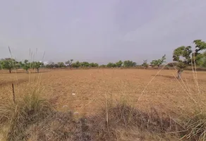 FC4G+3MH, Khatu Shyam Ji Rd, Mandha, Sundarpura, Rajasthan 332402, India preview 2
