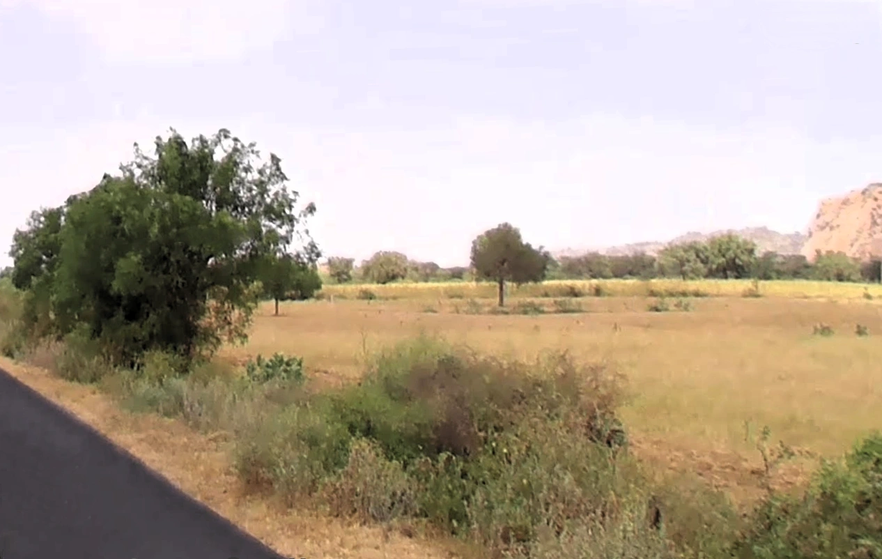 Dadam, Haryana 127040, India