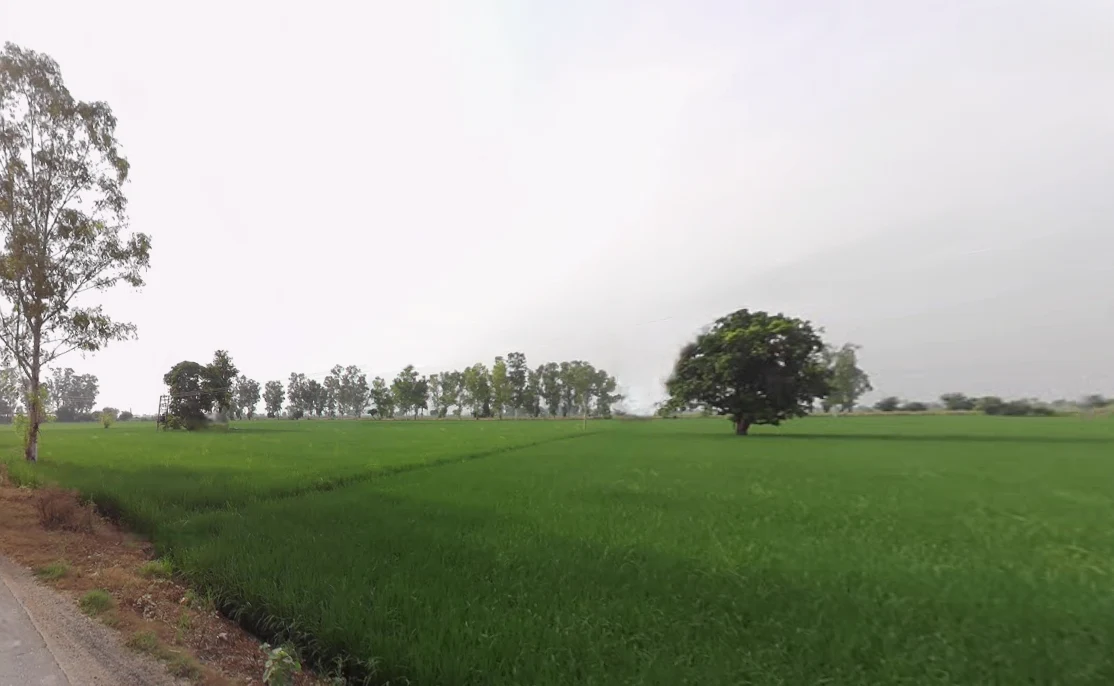 Junani, Odisha 768222, India