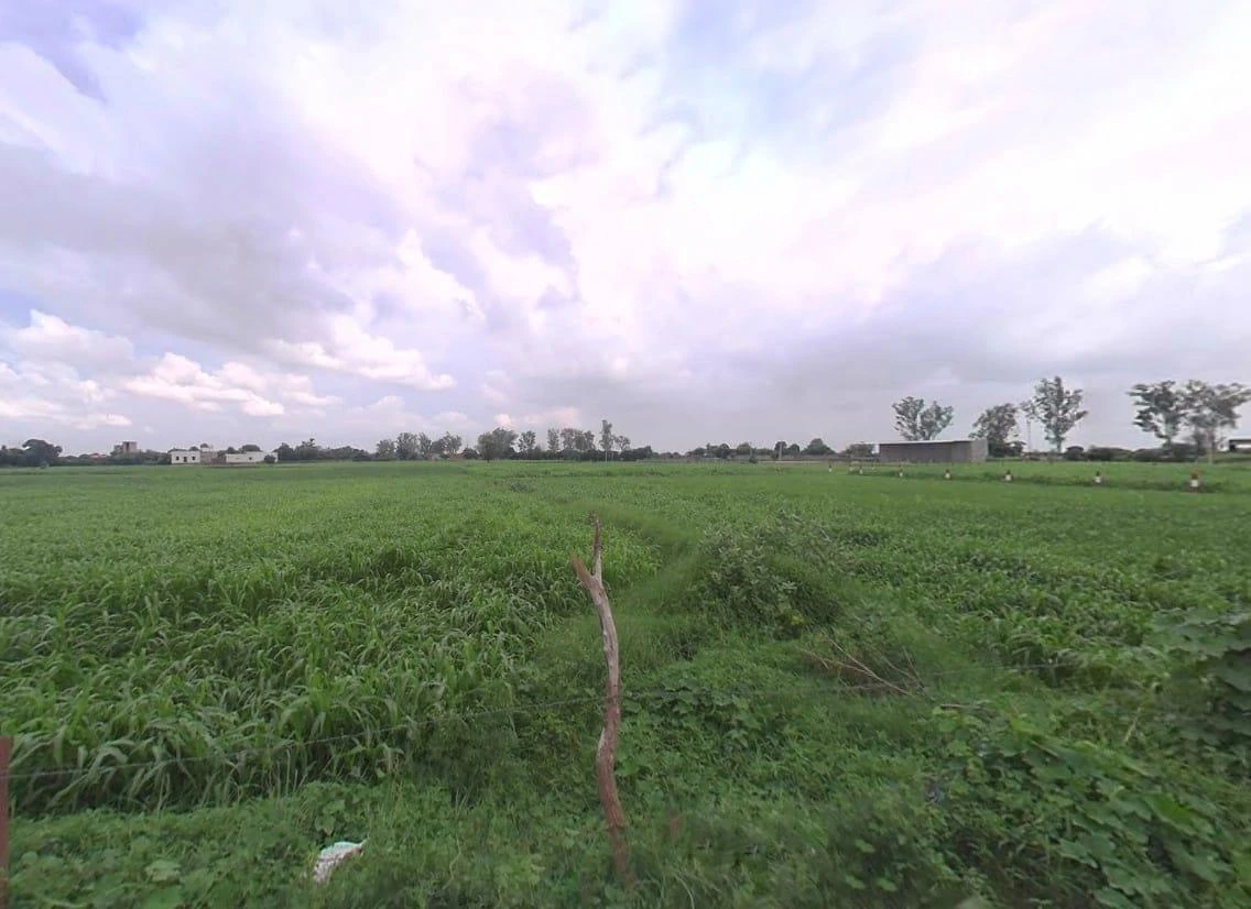 Bansi Khurd, Rajasthan 321303, India