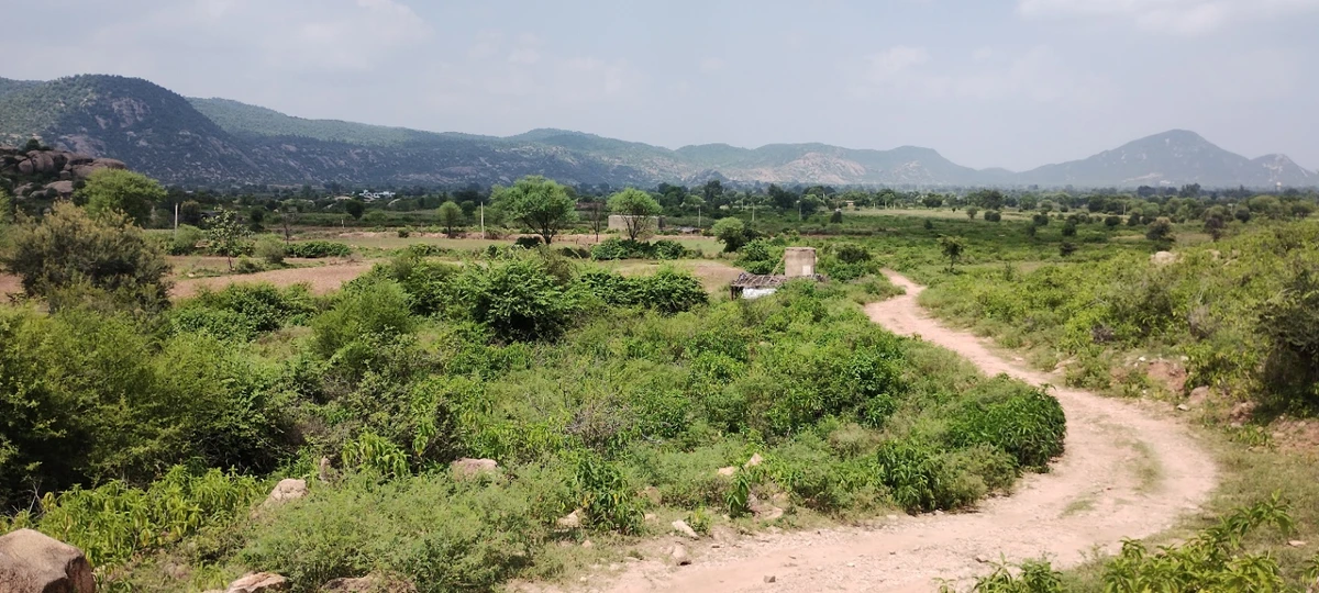 Dadhikar, Rajasthan 301001, India