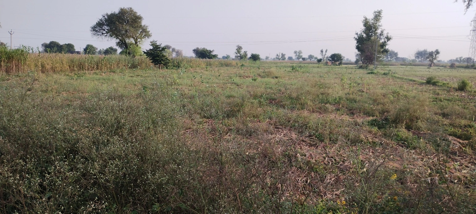 Semli, Rajasthan, India