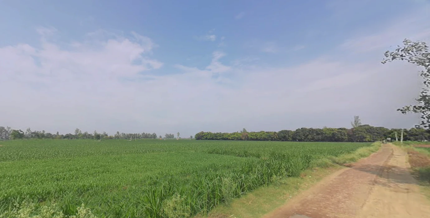 Dhanaura, Uttar Pradesh 244231, India