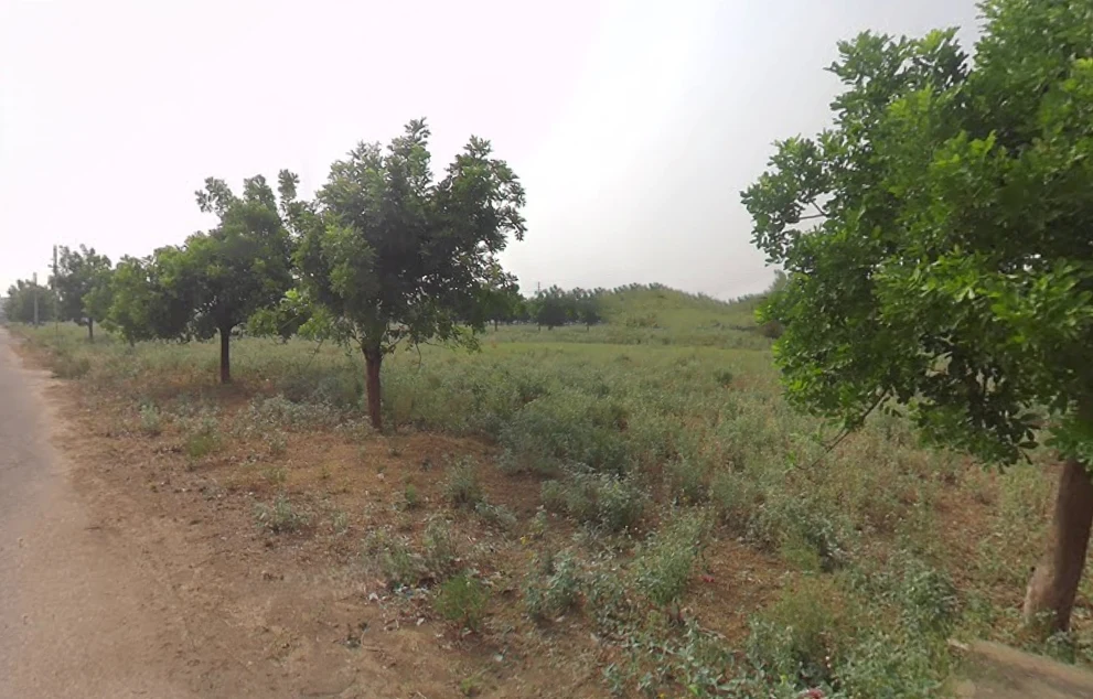 8QQ9+78J, Pataudi, Haryana 122503, India