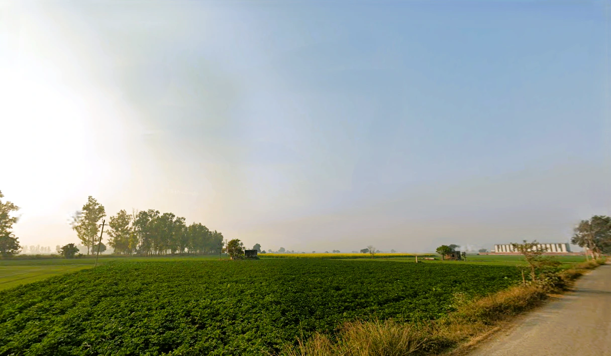 Nissing, Haryana 132024, India