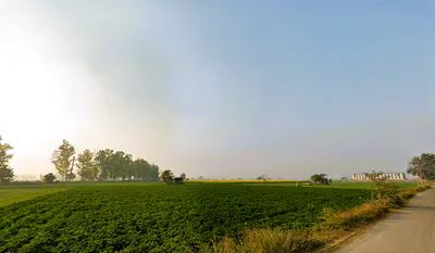 Nissing, Haryana 132024, India preview 2