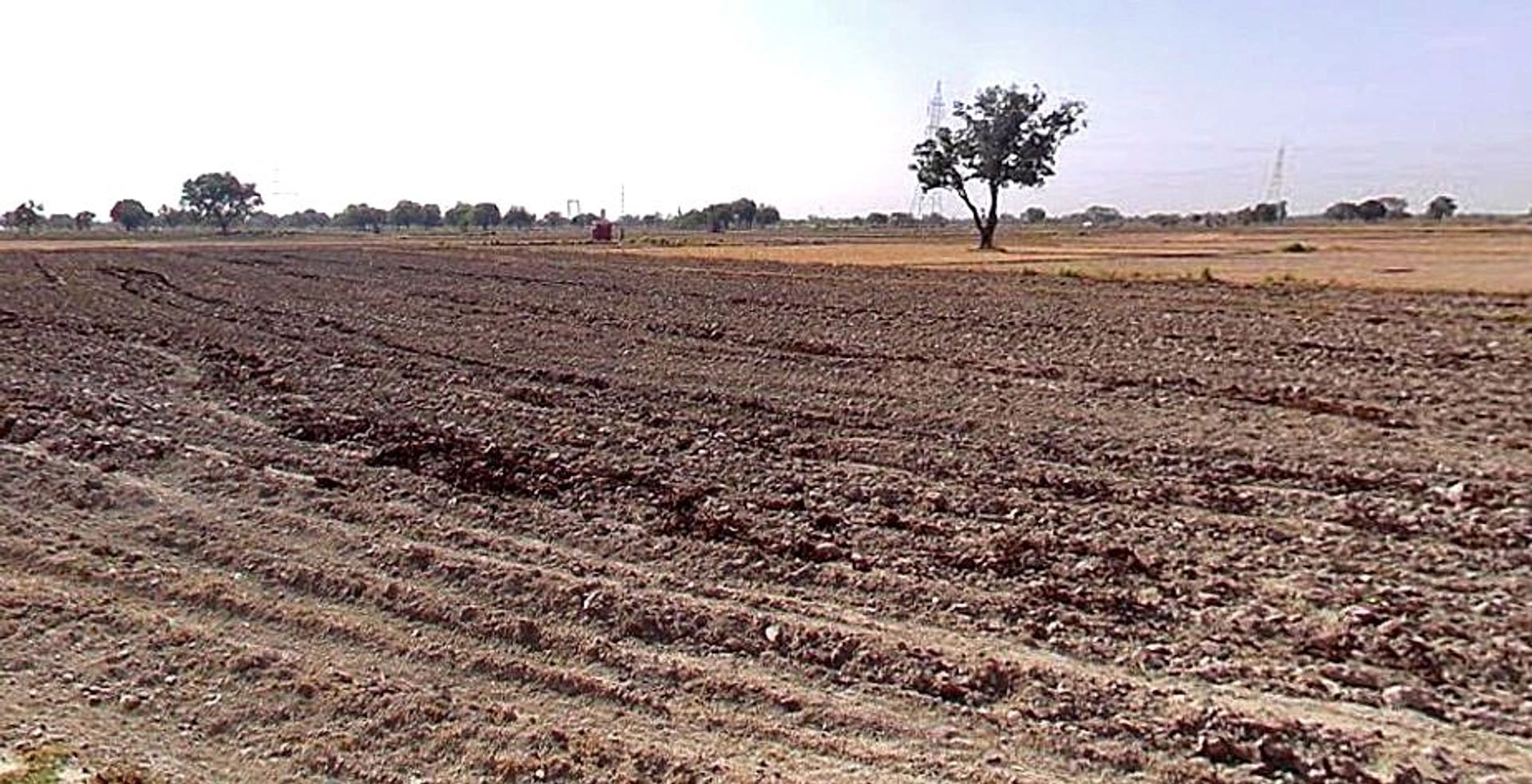 Chandla, Madhya Pradesh 471525, India