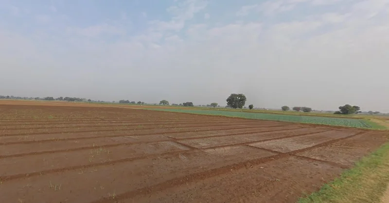 Viramgam, Gujarat 382150, India preview 3