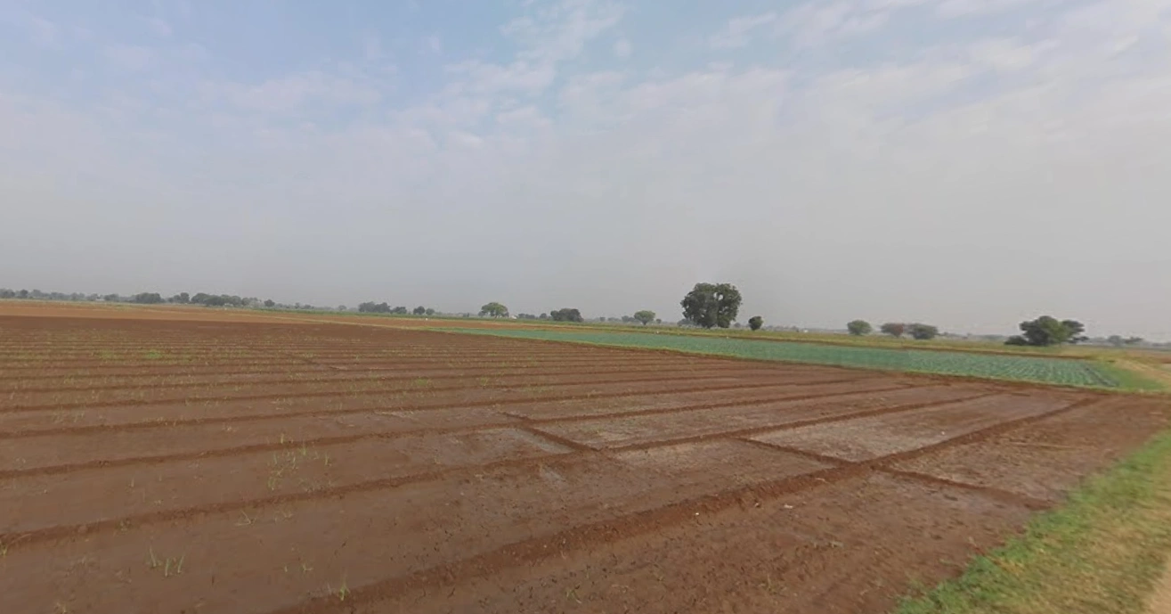 Viramgam, Gujarat 382150, India