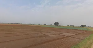 Viramgam, Gujarat 382150, India preview 3