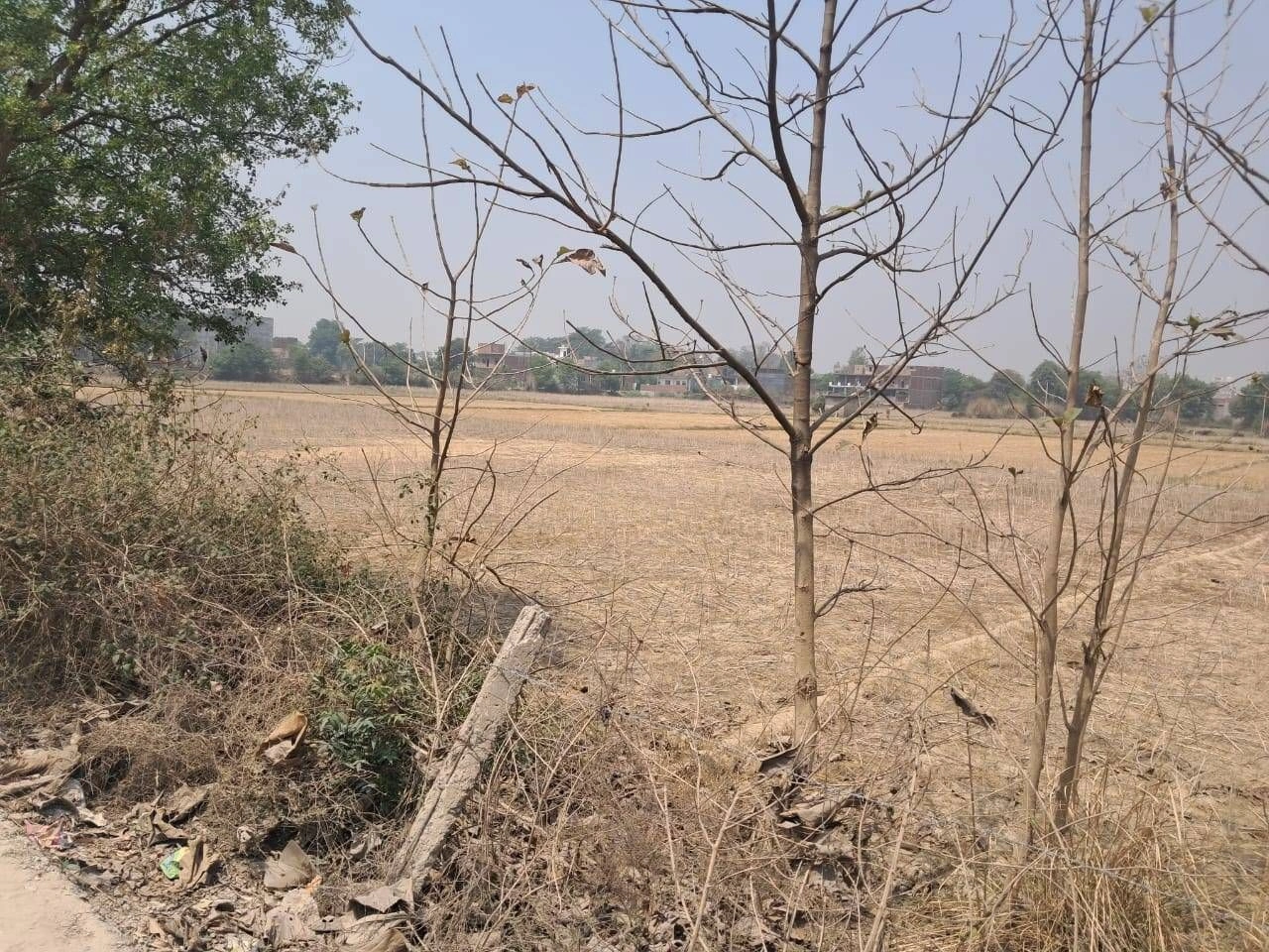 RGF5+VXP, Pilkhani, Uttar Pradesh 247451, India preview 3