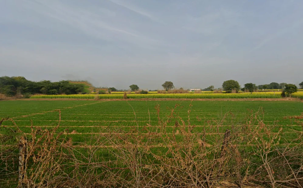 G4QG+GWR, Dharampuri, Rajasthan, India