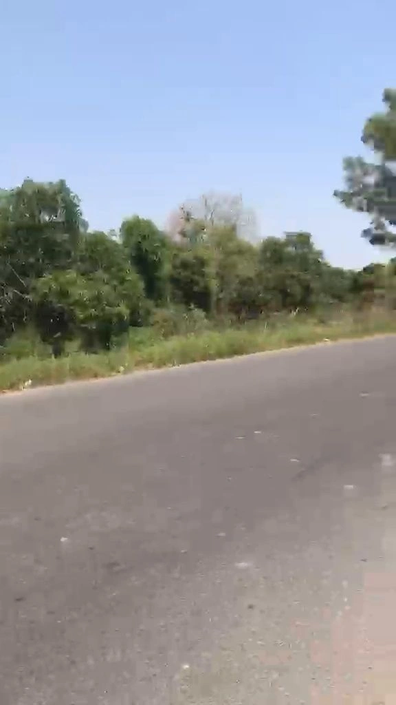 8M5V+MQH, Vill, Kuther, Siyonti, Punjab 145001, India