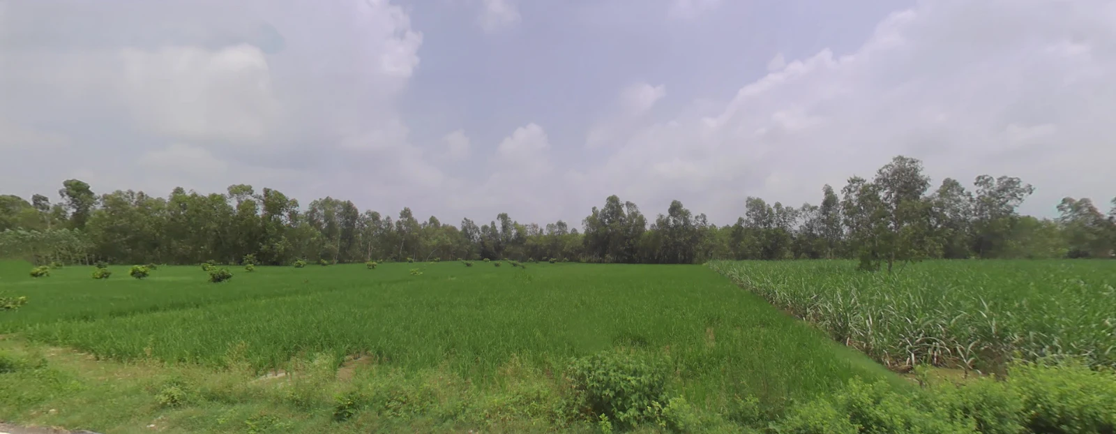 Mirzapur, Uttar Pradesh 247121, India