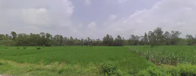 Mirzapur, Uttar Pradesh 247121, India preview 3