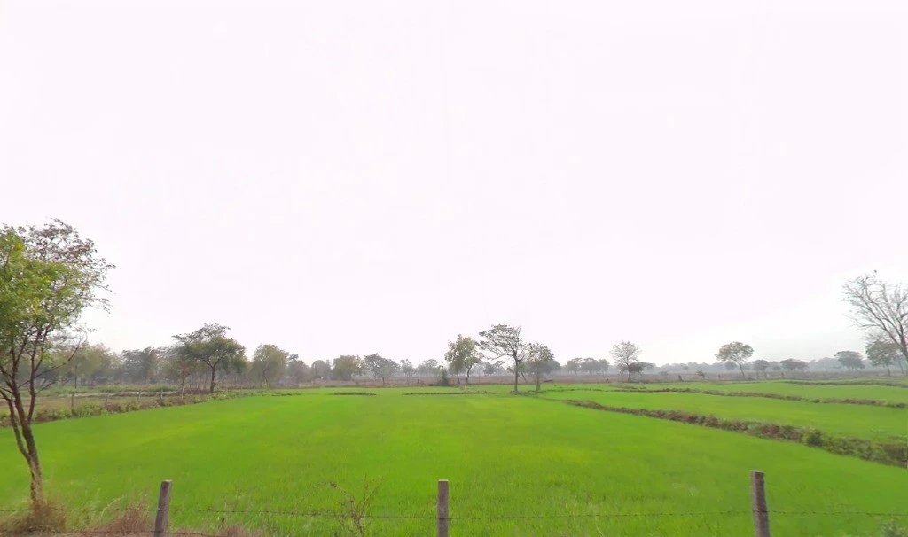 Kutela, Chhattisgarh 493558, India