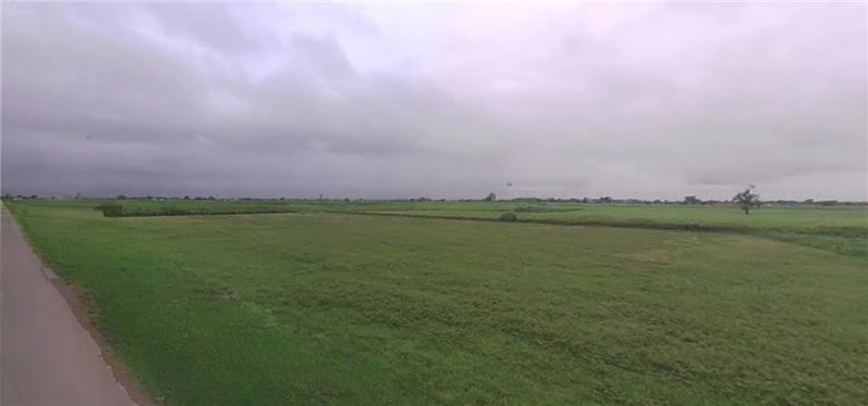 Goneda, Rajasthan 303108, India